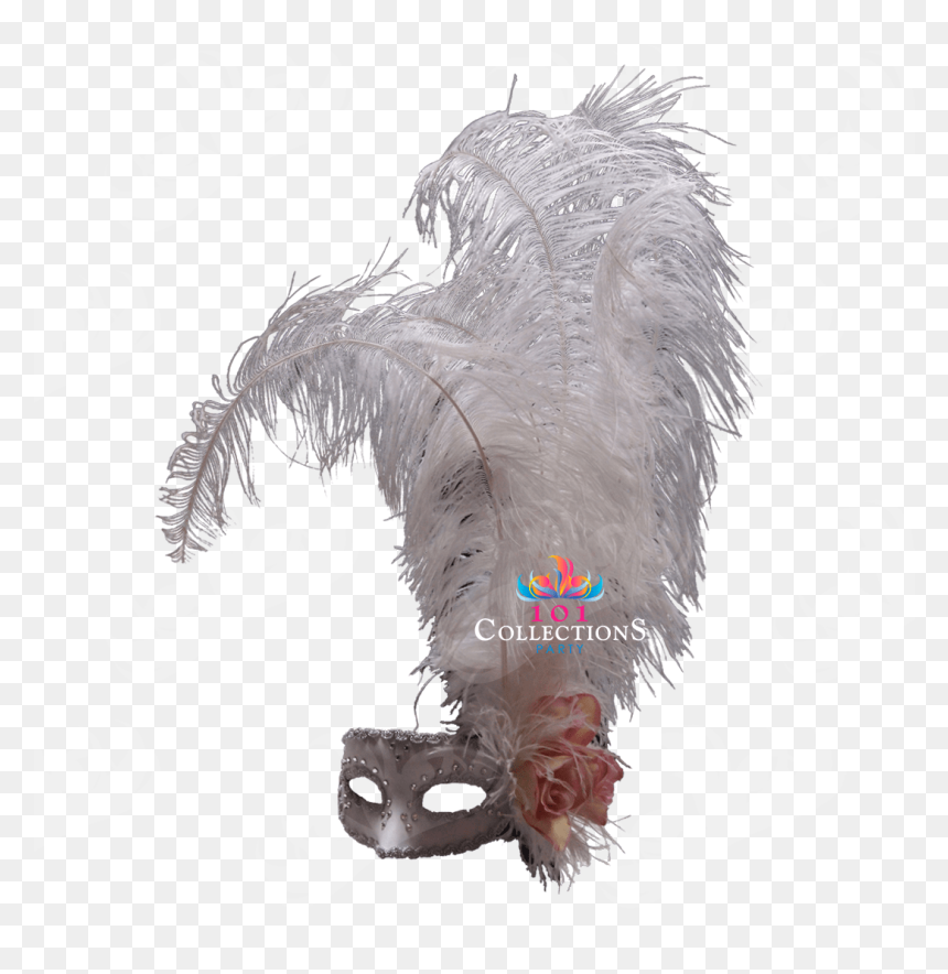 Plush, HD Png Download - feather boa png