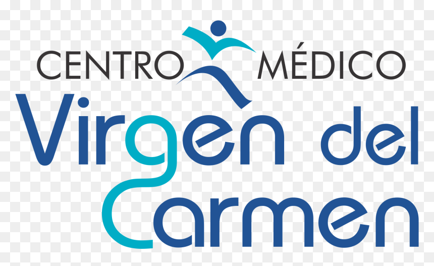 Graphic Design, HD Png Download - virgen del carmen png