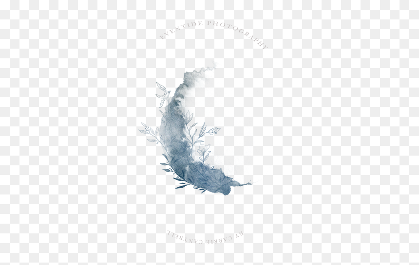 Firebrat, HD Png Download - feather boa png