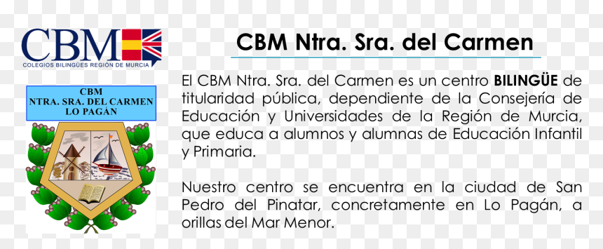 National Center For Biotechnology Information, HD Png Download - virgen del carmen png