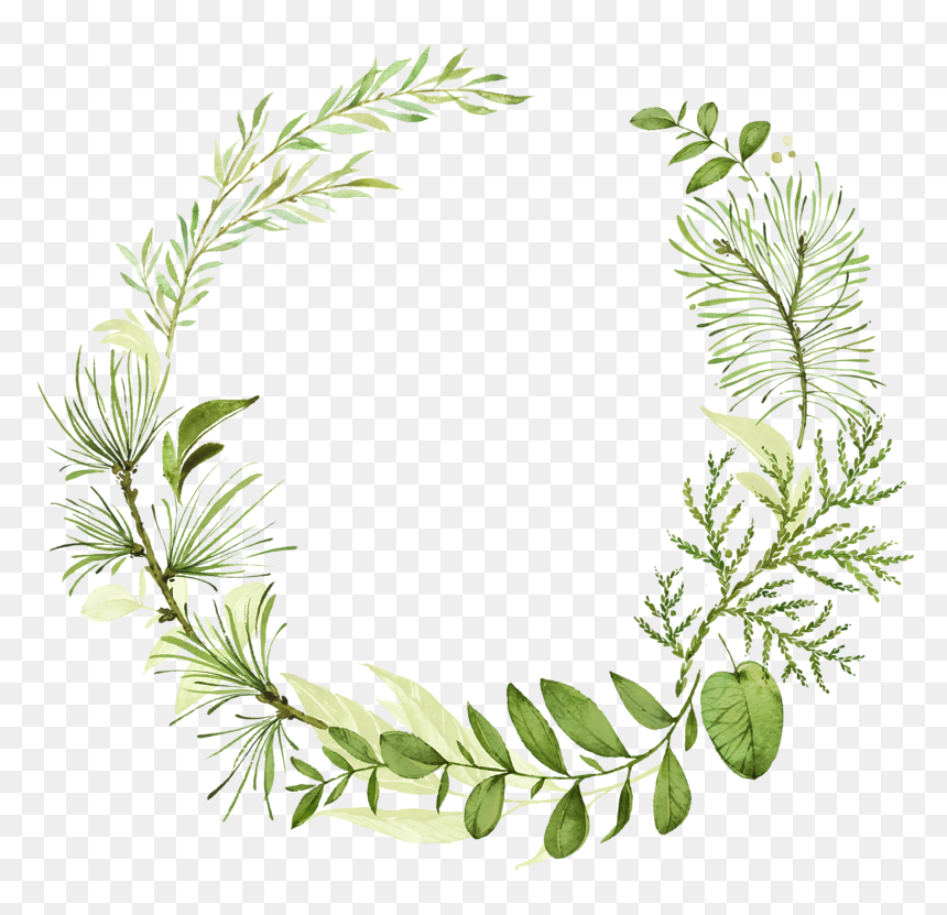 Christmas Foliage Watercolor, HD Png Download - watercolor leaf png