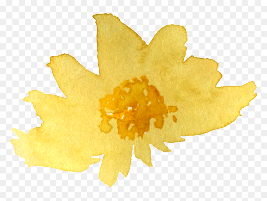 Sacred Lotus, HD Png Download - watercolor leaf png