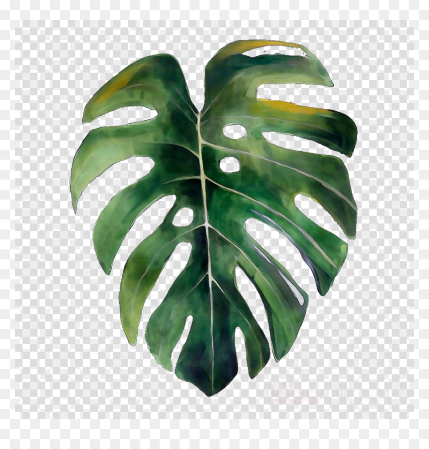Apple Watch Transparent Png, Png Download - watercolor leaf png