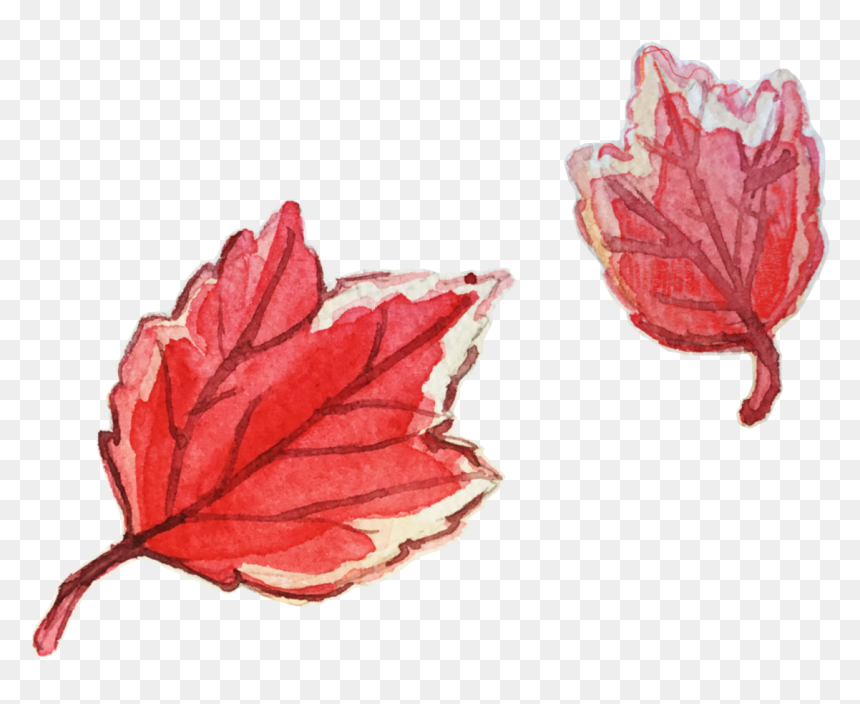 Watercolor Leaf Png, Transparent Png - watercolor leaf png