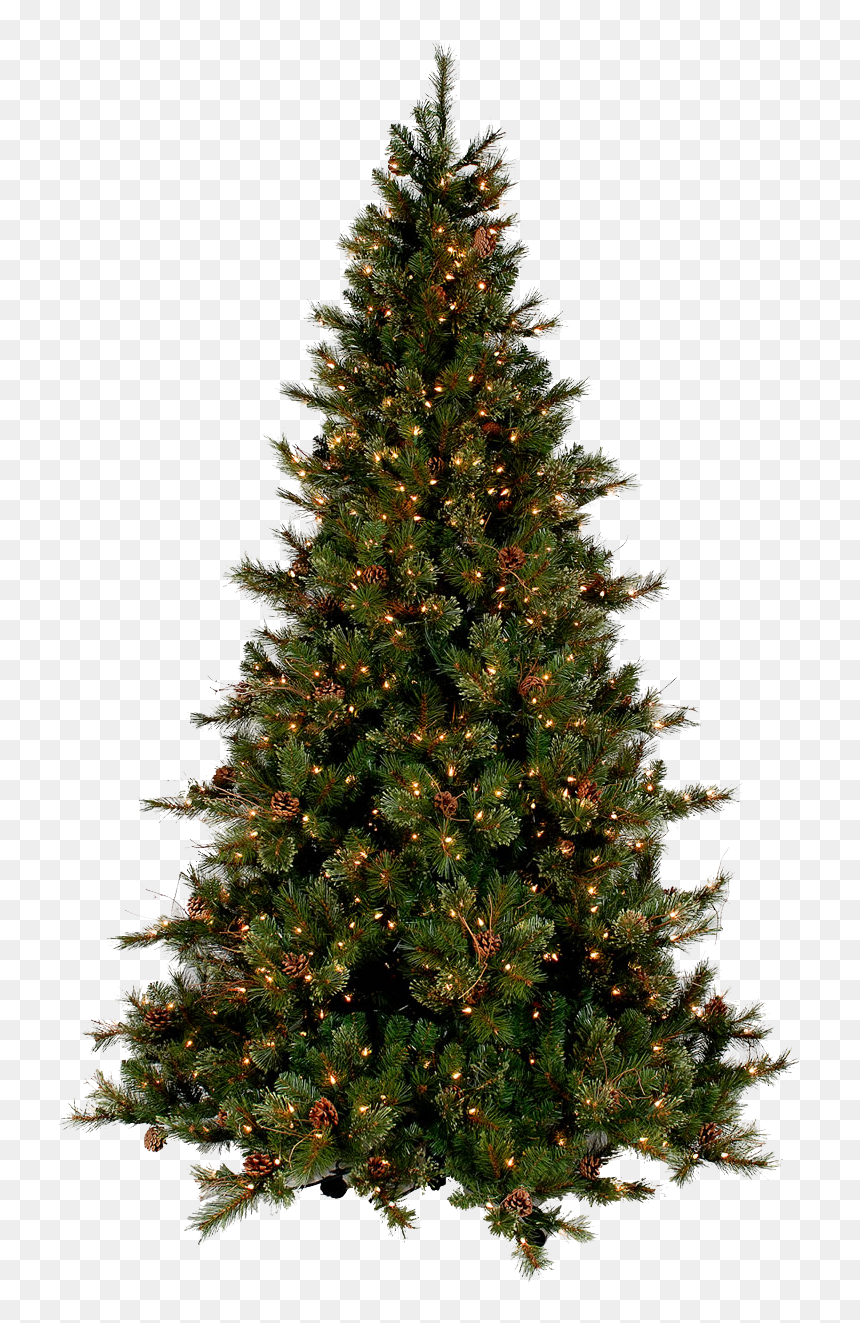 Top Of Christmas Tree Png, Transparent Png - row of trees png