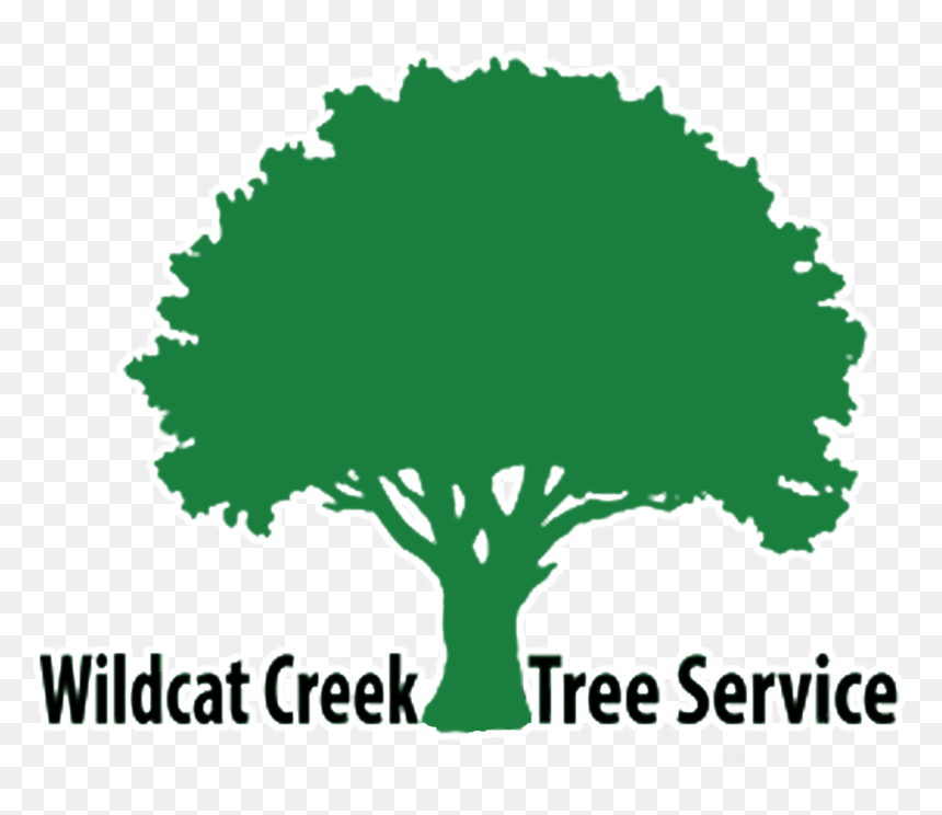 Tree Silhouette Clipart Png, Transparent Png - row of trees png