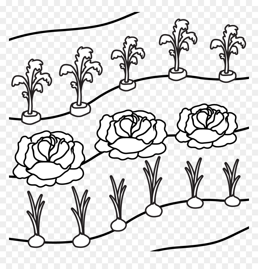 Line Art, HD Png Download - row of trees png