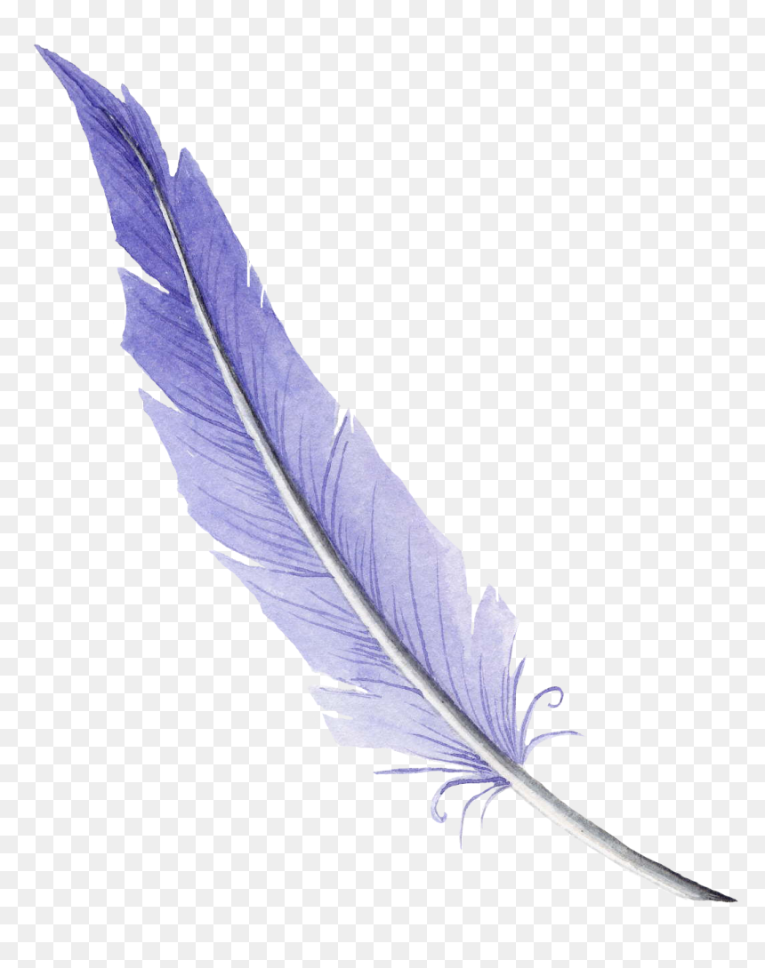 Plumas Png Sin Fondo, Transparent Png - plumas png