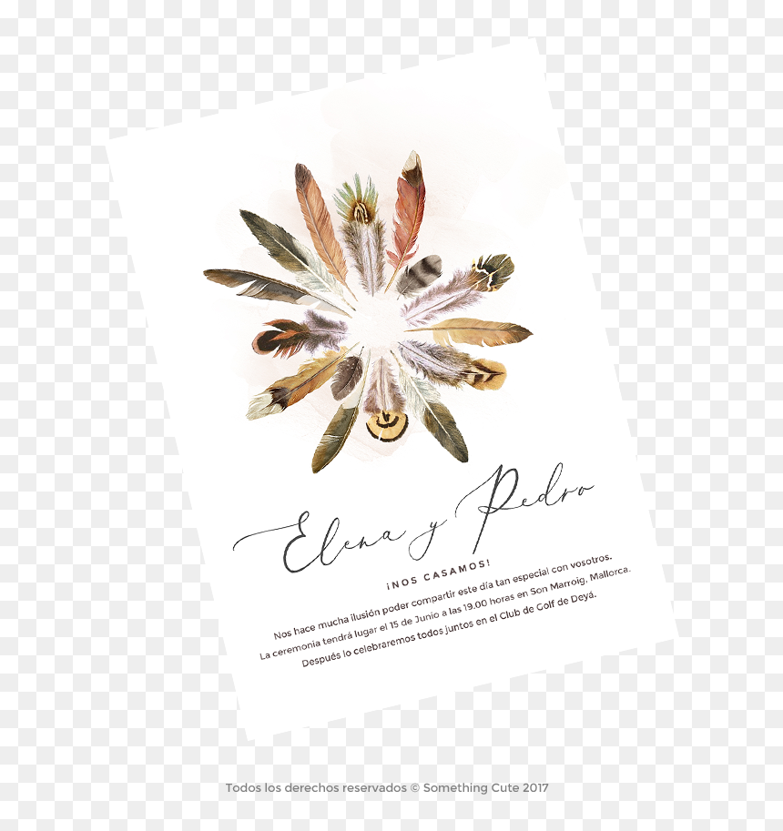 Water Lily, HD Png Download - plumas png