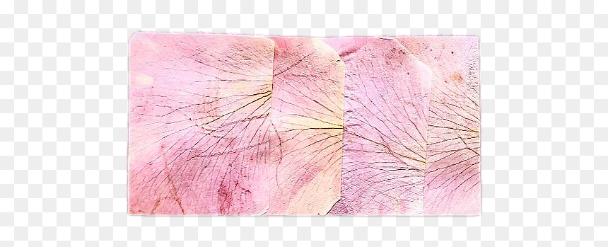 Patchwork, HD Png Download - pink petals png