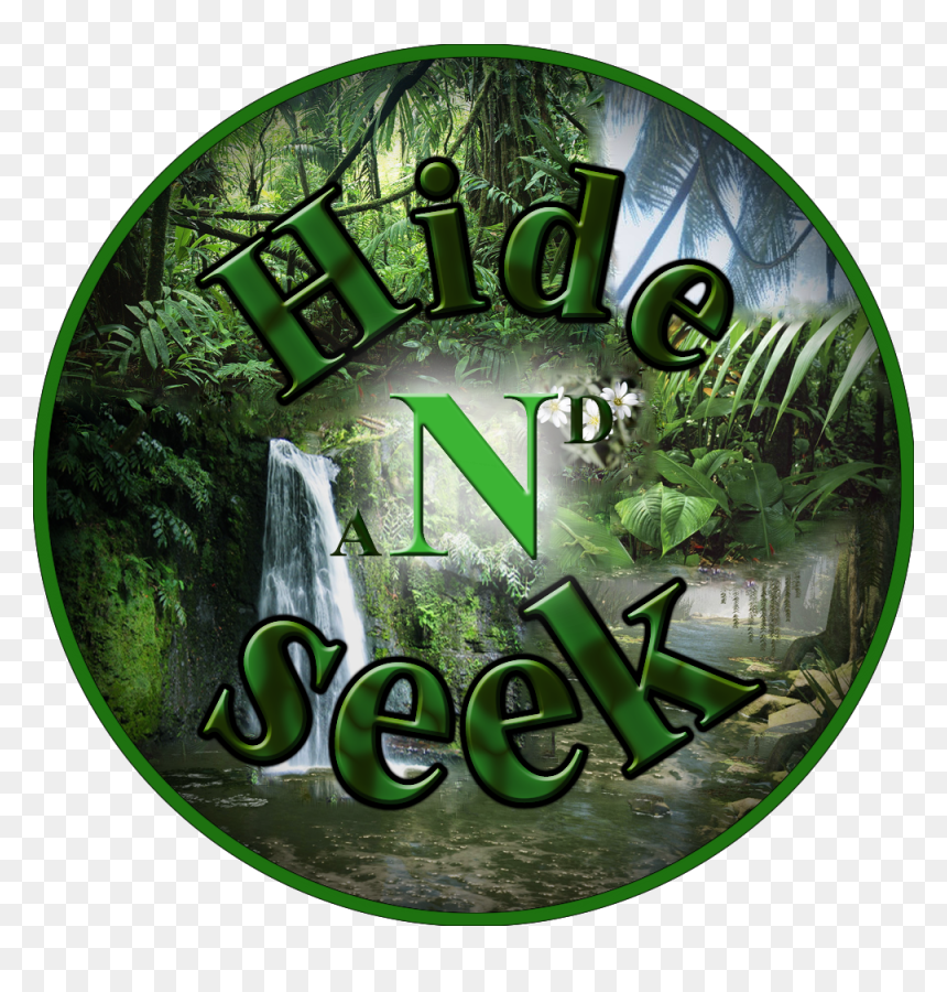 Cd, HD Png Download - hide png