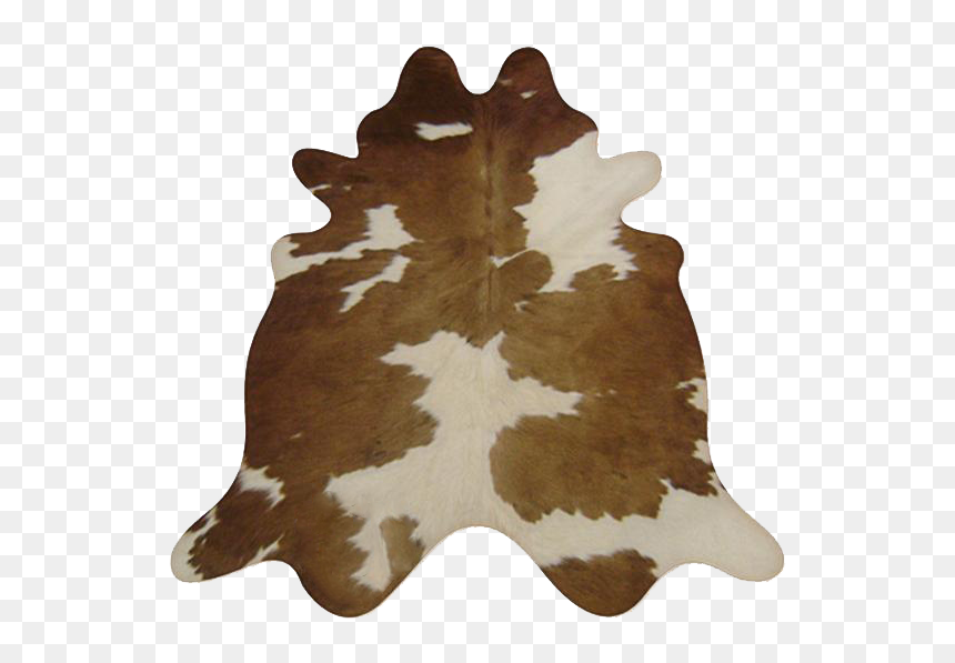 Marine Invertebrates, HD Png Download - hide png