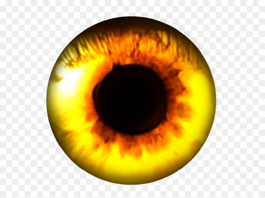 Macro Photography, HD Png Download - fire eyes png