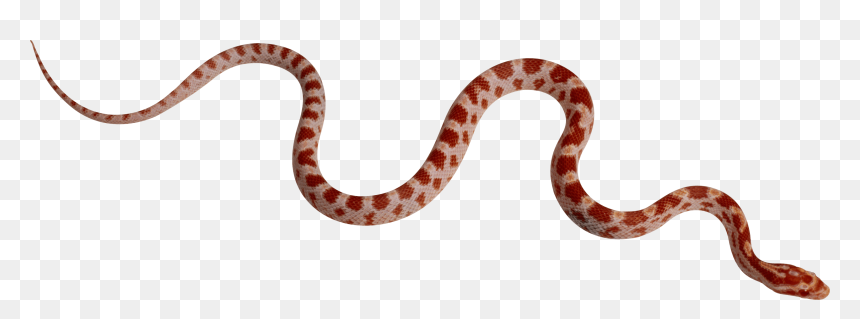 Snake Png, Transparent Png - snake icon png