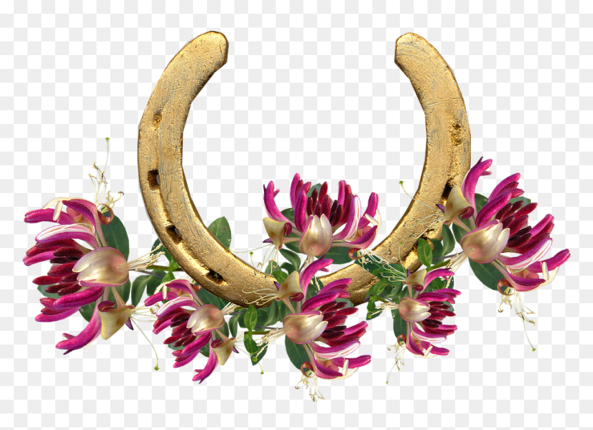 Matoke, HD Png Download - honeysuckle png