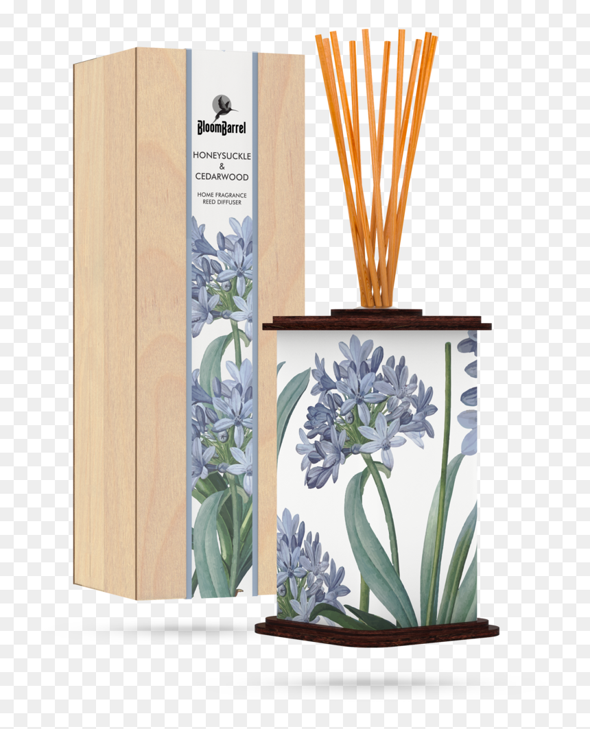 Aloe, HD Png Download - honeysuckle png
