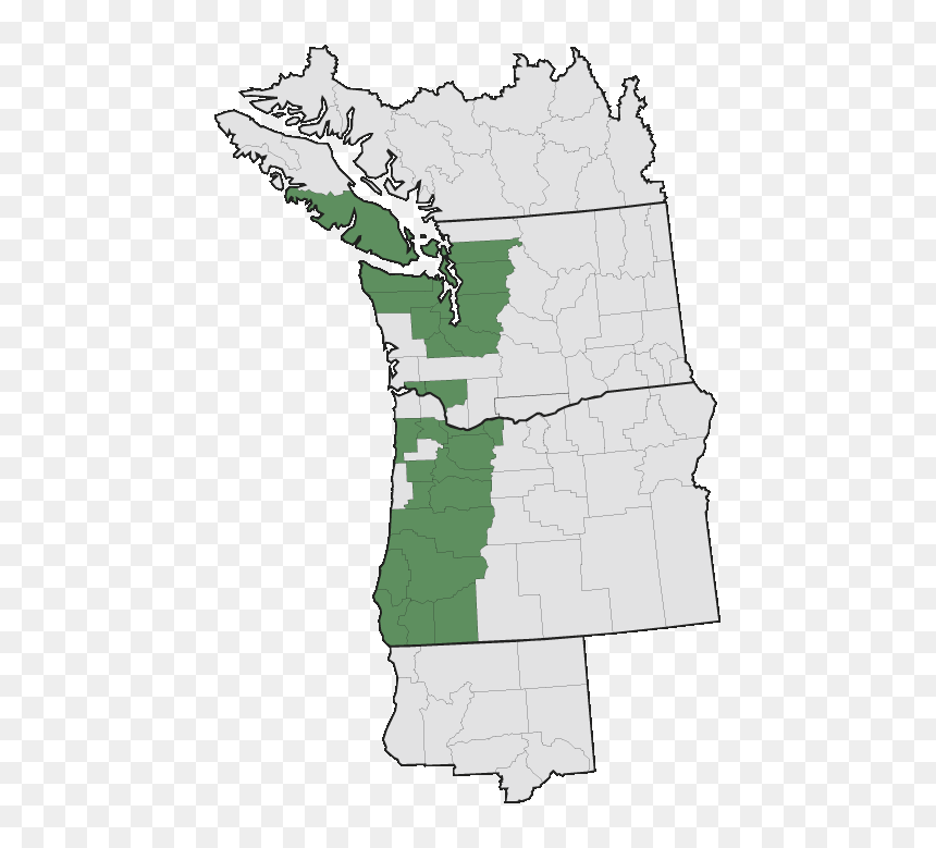 Pacific Northwest, HD Png Download - honeysuckle png