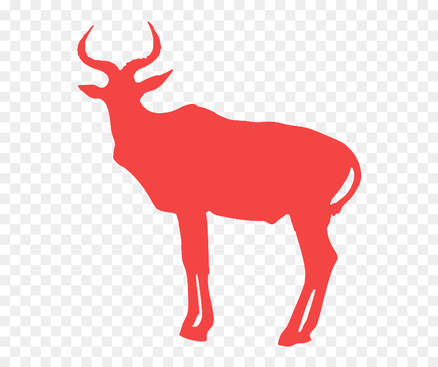 Antelope, HD Png Download - buffalo silhouette png