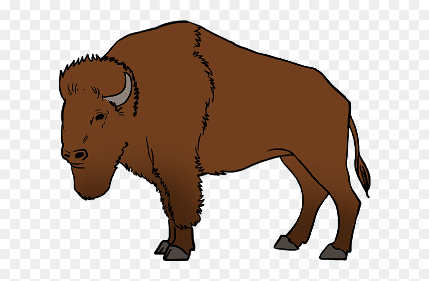Step By Step Buffalo Drawing, HD Png Download - buffalo silhouette png