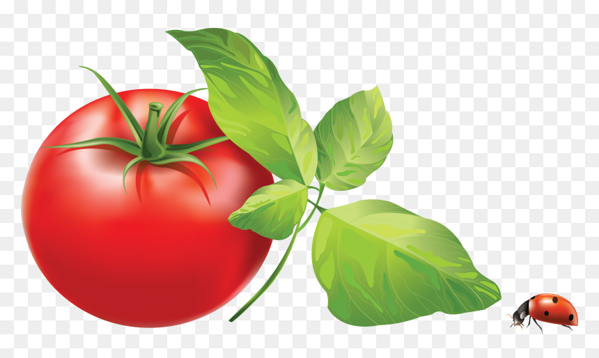 Wechat Icon Png, Transparent Png - wechat icon png