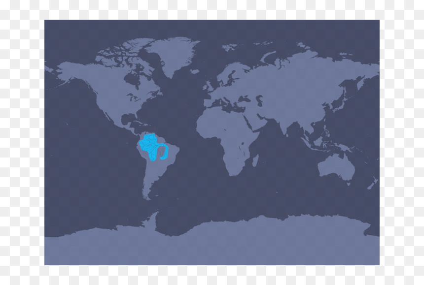 Southern Right Whale Dolphin Range, HD Png Download - pink dolphin png