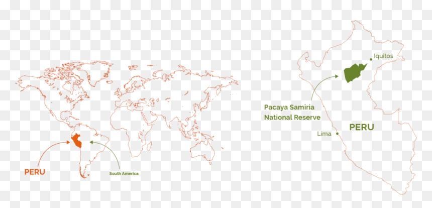 Map Of The World, HD Png Download - pink dolphin png