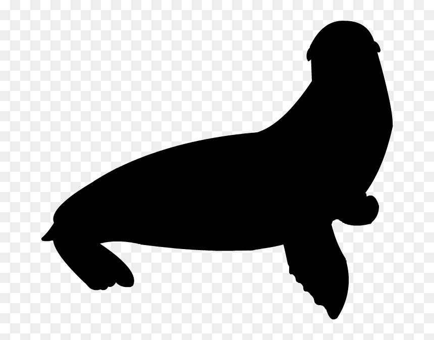 California Sea Lion Silhouette, HD Png Download - california silhouette png