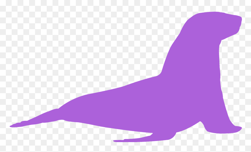 California Sea Lion, HD Png Download - california silhouette png