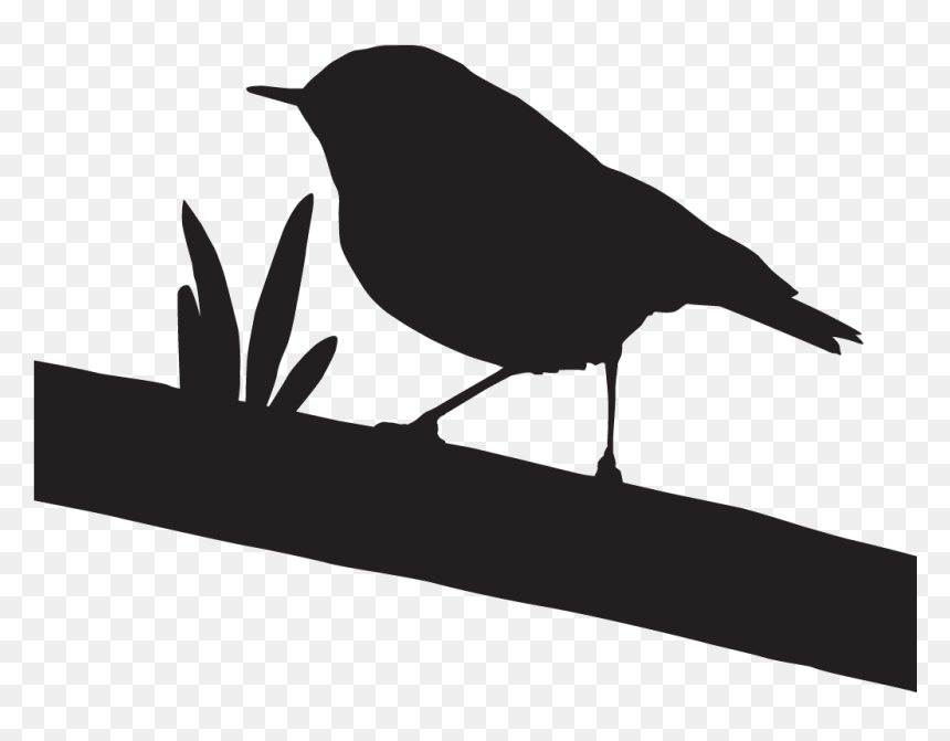 Old World Flycatcher, HD Png Download - california silhouette png