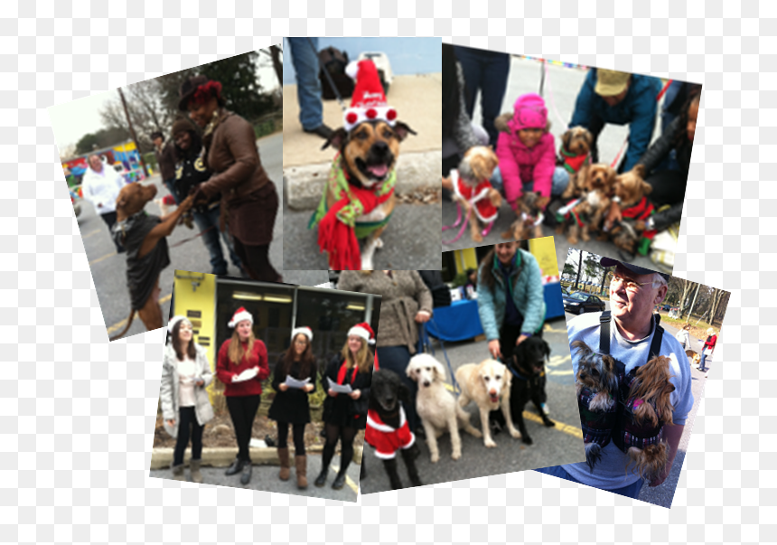 Companion Dog, HD Png Download - santa and reindeer silhouette png