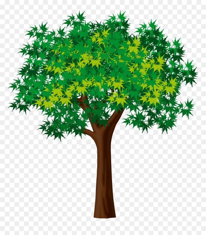 3 Little Pigs Tree, HD Png Download - san judas tadeo png