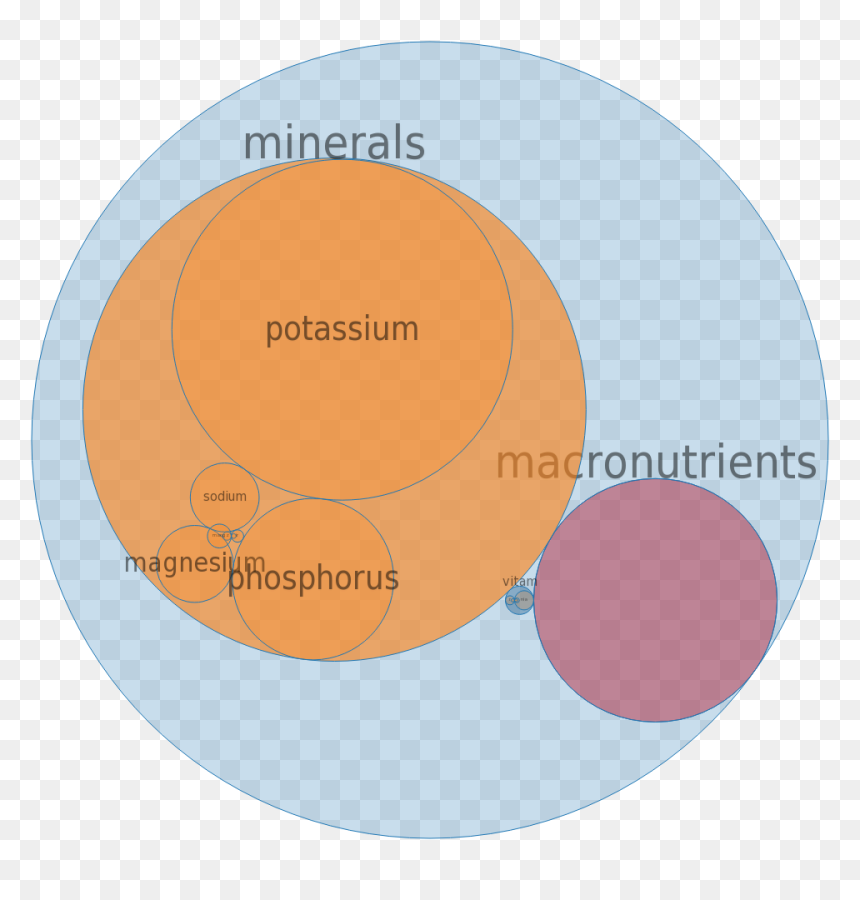 Circle, HD Png Download - vanilla extract png