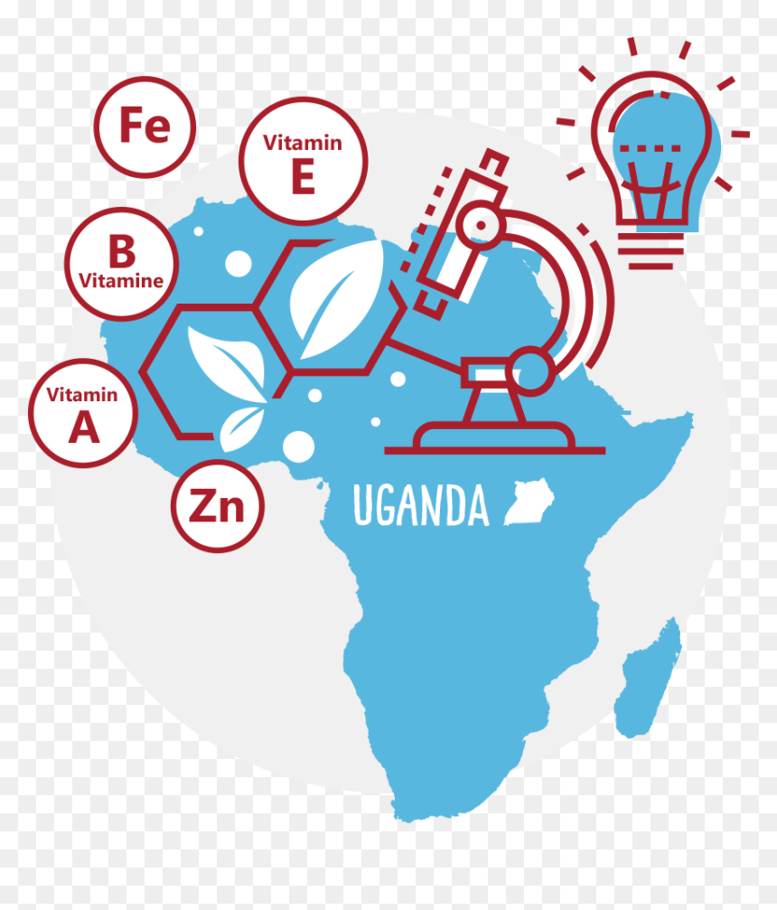 African Union, HD Png Download - and the winner is png