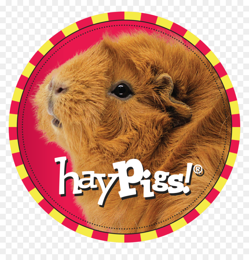 Miss Piggy Png, Transparent Png - miss piggy png