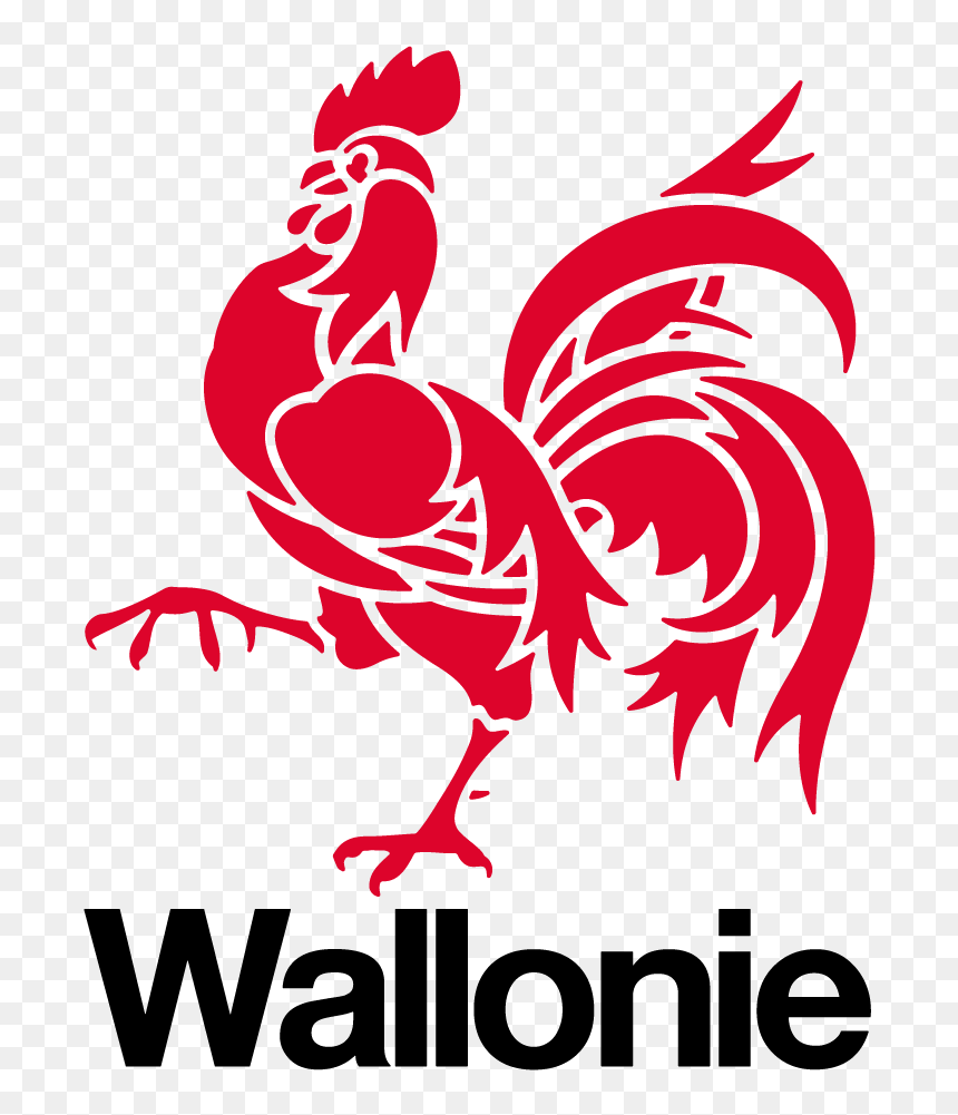 Wallonie Symbol, HD Png Download - drapeau français png