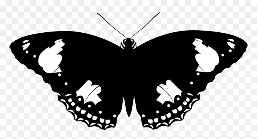 Butterfly Vector Free, HD Png Download - snake silhouette png