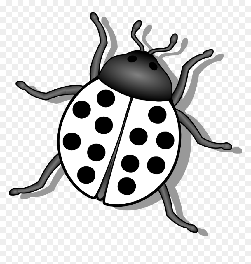 Bug Black And White, HD Png Download - lady bugs png