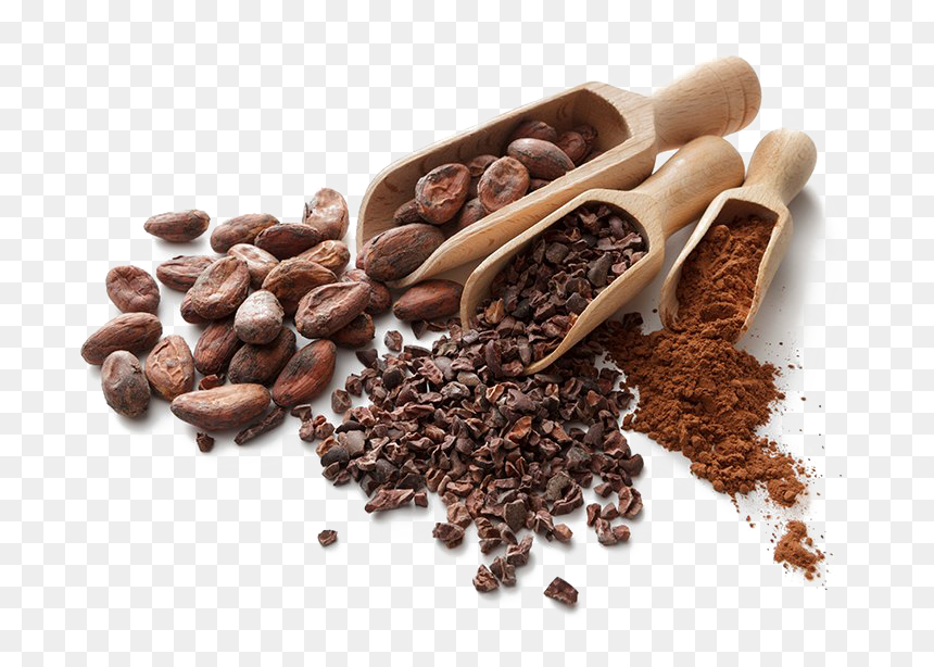 Foods Catechin, HD Png Download - cocoa beans png
