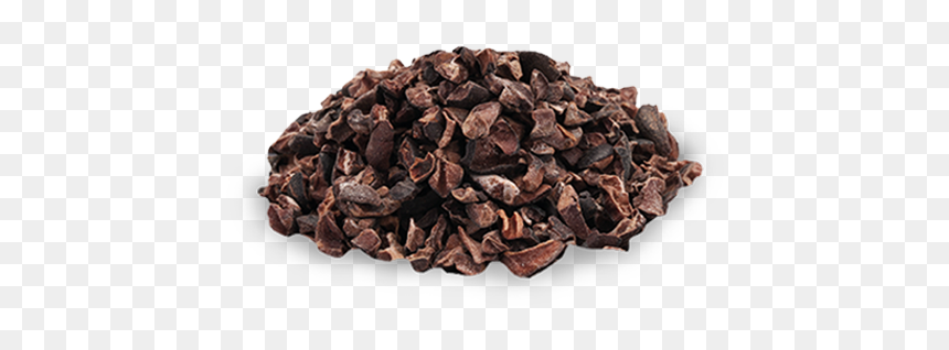 Cocoa Bean, HD Png Download - cocoa beans png