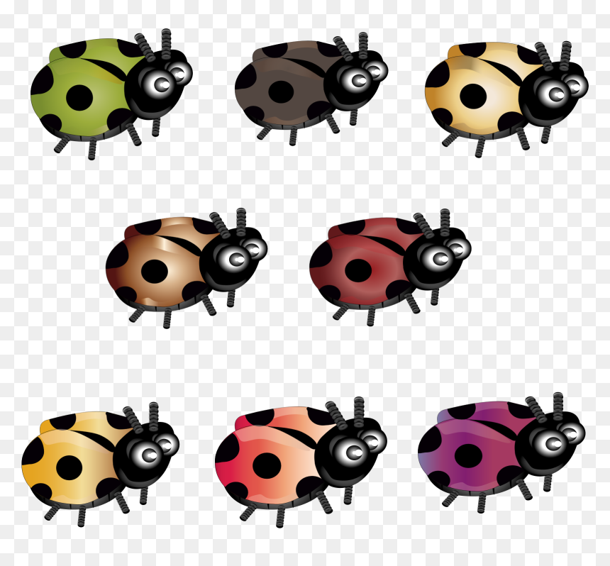 Ladybird Beetle, HD Png Download - lady bugs png
