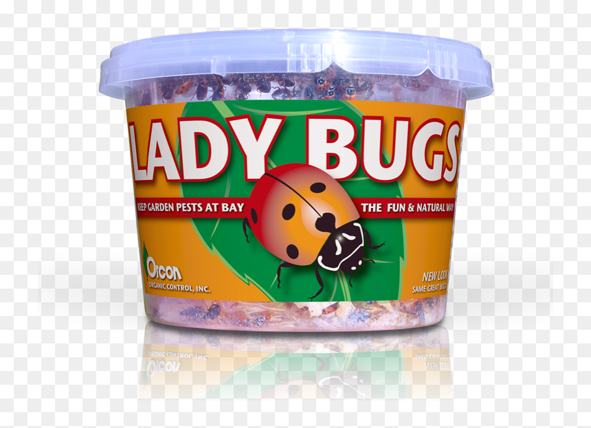 Convenience Food, HD Png Download - lady bugs png