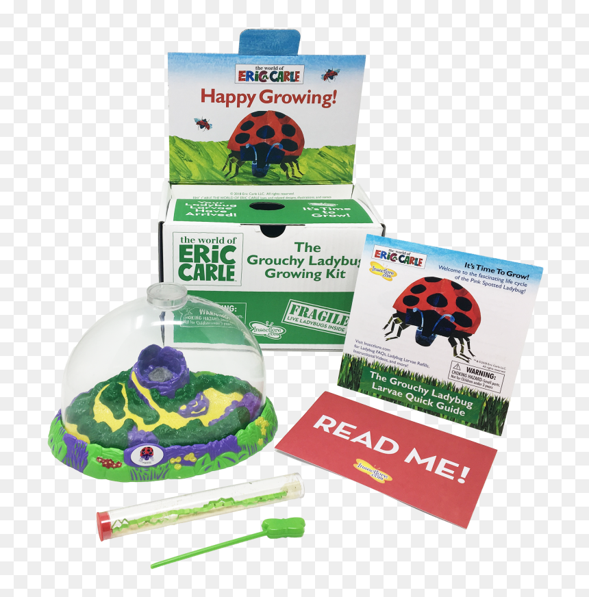 The Grouchy Ladybug, HD Png Download - lady bugs png