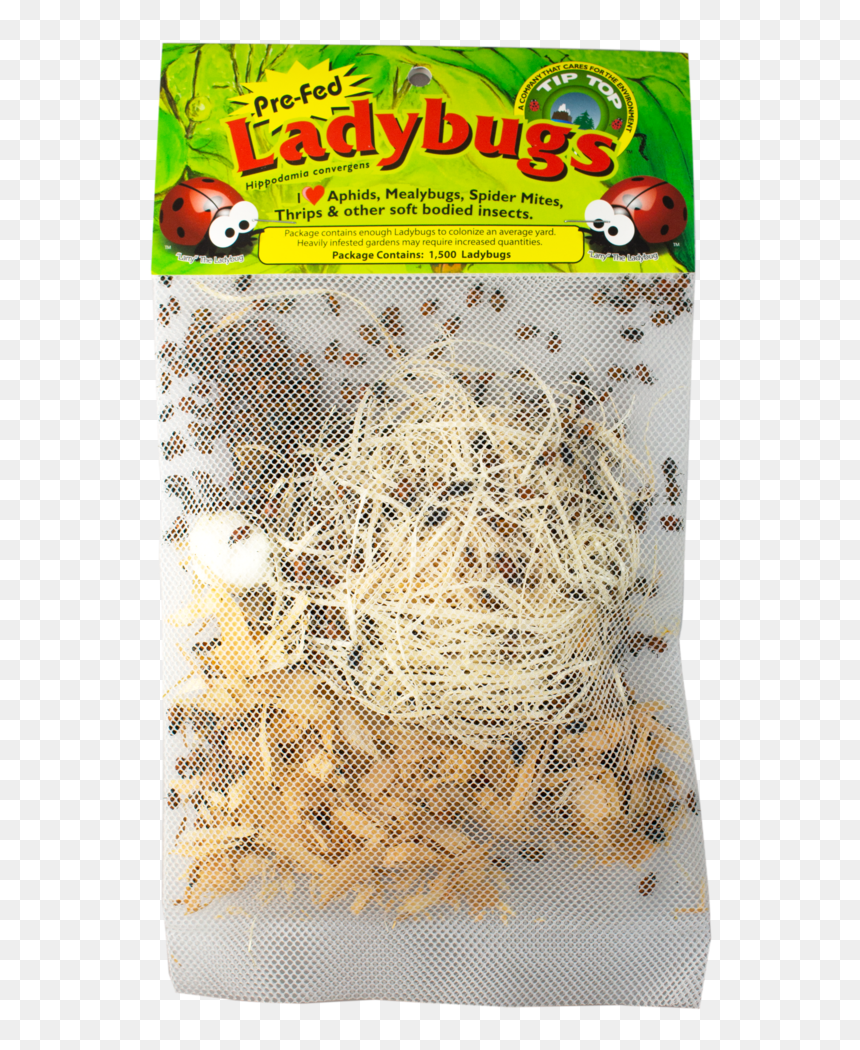 Seed, HD Png Download - lady bugs png