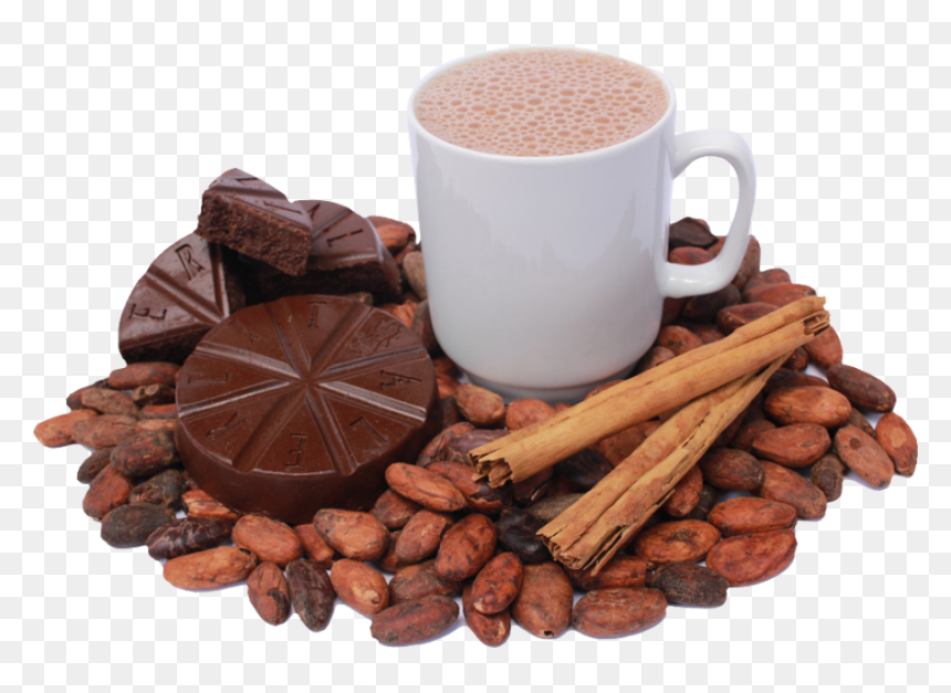 Cocoa Bean, HD Png Download - cocoa beans png