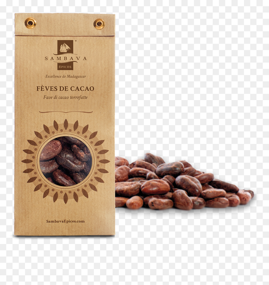 Logo Motor City, HD Png Download - cocoa beans png