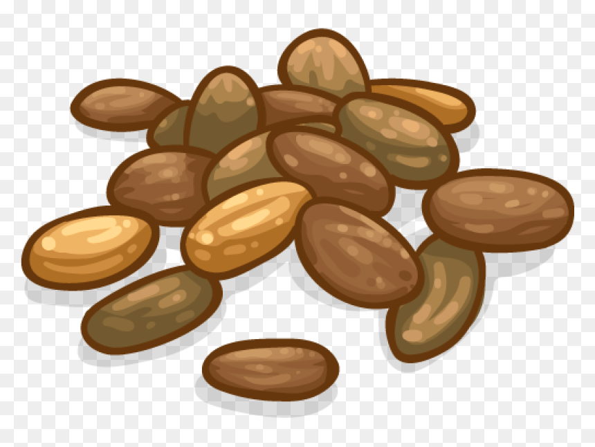 Wood, HD Png Download - cocoa beans png