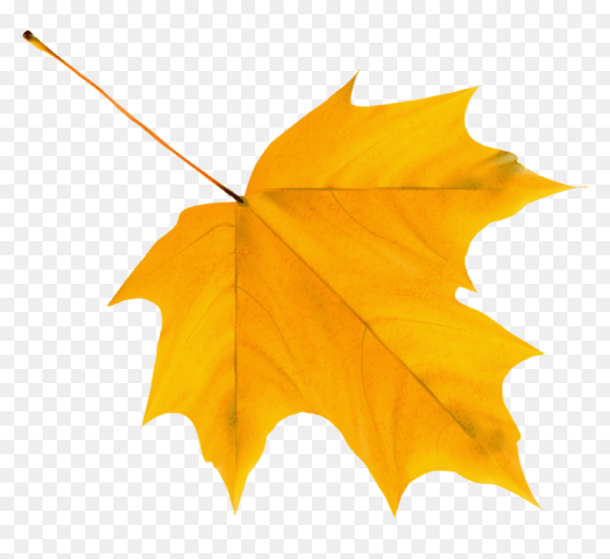Autumn Leaves Clipart Png, Transparent Png - fall leaves banner png