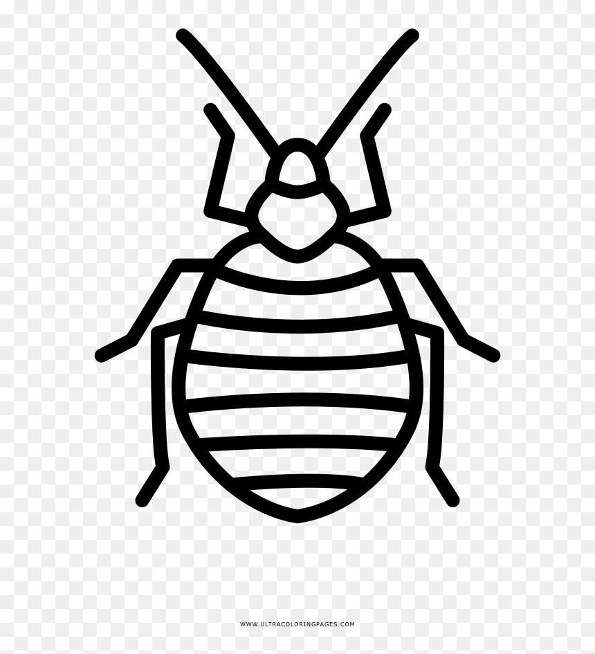 Kill Bed Bugs Houston, HD Png Download - bed bug png