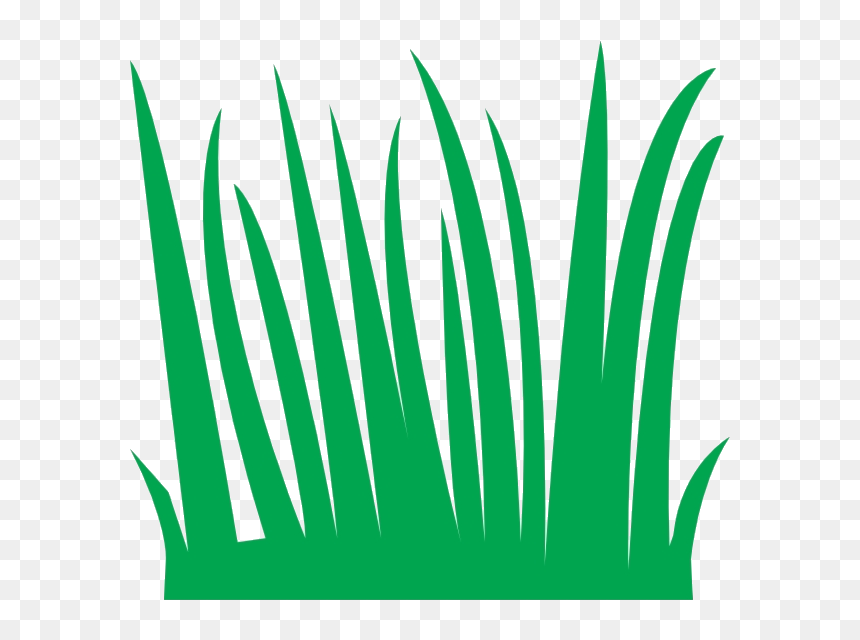 Cartoon Long Grass, HD Png Download - grass blades png