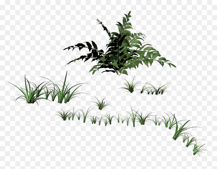 Portable Network Graphics, HD Png Download - grass blades png